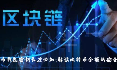 比特币钱包密钥长度必知：解读比特币余额的安全保障