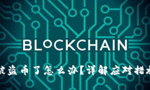 TP钱包授权被盗币了怎么办？详解应对措施与安全防护