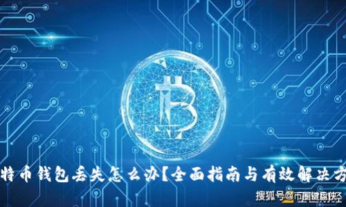 比特币钱包丢失怎么办？全面指南与有效解决方案