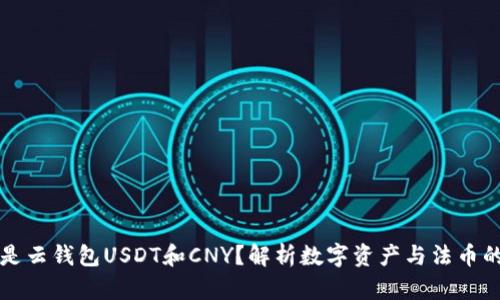 什么是云钱包USDT和CNY？解析数字资产与法币的桥梁