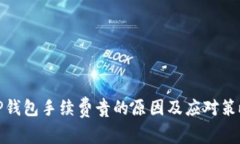 TP钱包手续费贵的原因及应