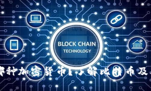 ### 钱包地址可以存哪种加密货币？了解比特币及其他数字货币的存储方式