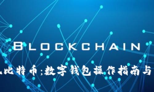 如何顺利提现比特币：数字钱包操作指南与常见问题解答