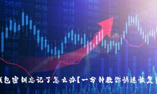 tp钱包密钥忘记了怎么办？一分钟教你快速恢复资金