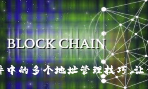 比特币钱包文件中的多个地址管理技巧，让你轻松掌控资产