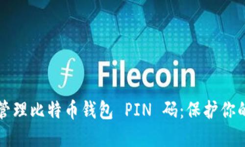 如何安全管理比特币钱包 PIN 码：保护你的数字资产