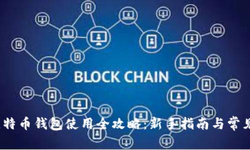 2013年比特币钱包使用全攻略：新手指南与常见问题解答