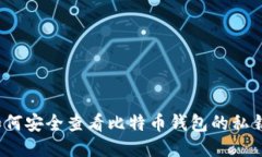 如何安全查看比特币钱包