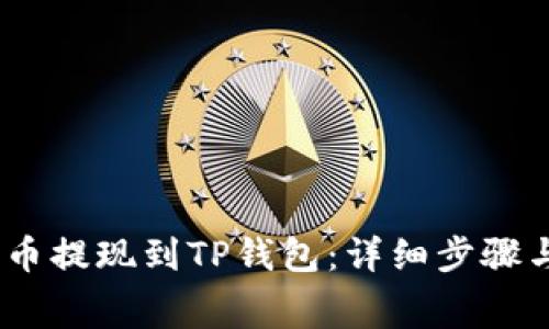 如何将Pig币提现到TP钱包：详细步骤与注意事项