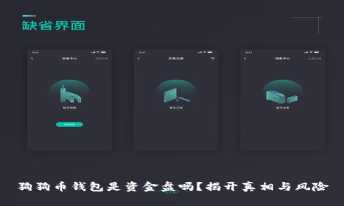 狗狗币钱包是资金盘吗？揭开真相与风险