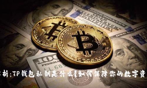 深入解析：TP钱包私钥是什么？如何保障你的数字资产安全