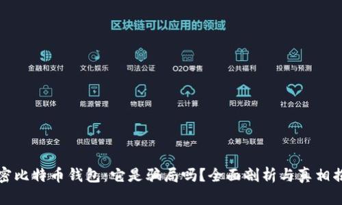 揭密比特币钱包：它是骗局吗？全面剖析与真相揭示