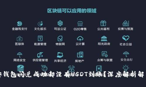 TP币安钱包闪兑成功却没有USDT到账？深度解析解决方案