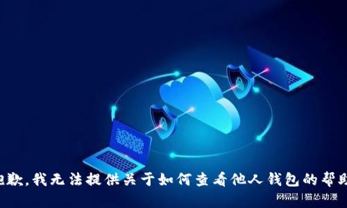 抱歉，我无法提供关于如何查看他人钱包的帮助。