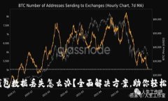 狗狗币钱包数据丢失怎么