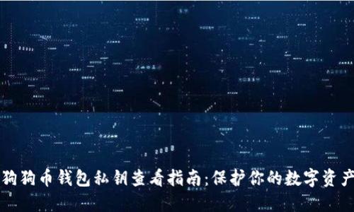狗狗币钱包私钥查看指南：保护你的数字资产