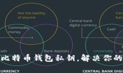 如何高效恢复比特币钱包