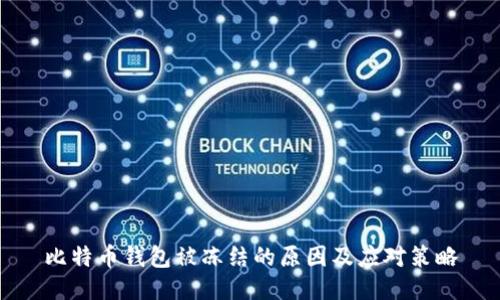 比特币钱包被冻结的原因及应对策略