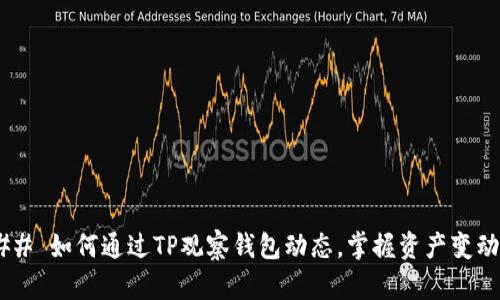 ## 如何通过TP观察钱包动态，掌握资产变动？
