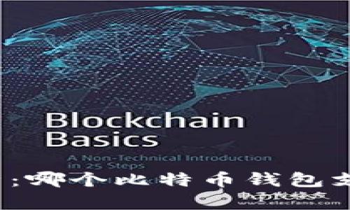 全面解析：哪个比特币钱包支持分叉？