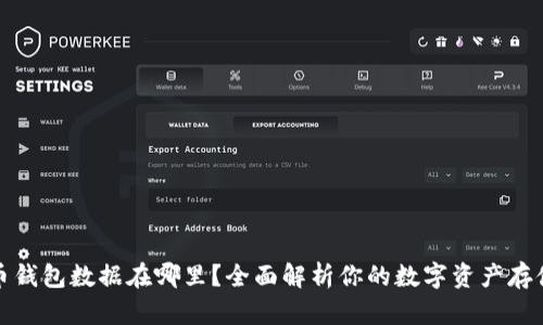 比特币钱包数据在哪里？全面解析你的数字资产存储之道
