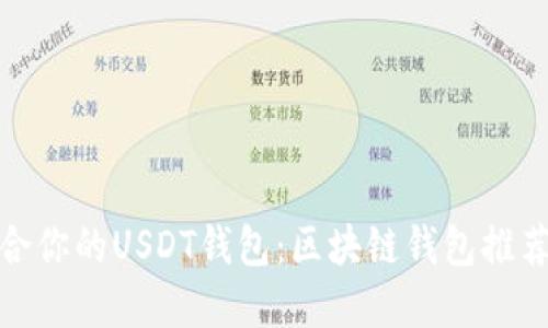 选择适合你的USDT钱包：区块链钱包推荐与对比