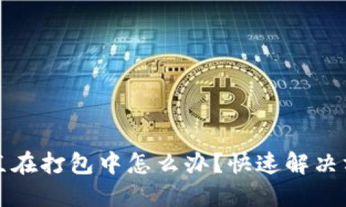 TP钱包转出一直在打包中怎么办？快速解决方案与实用技巧