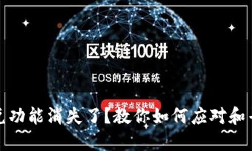 TP钱包的闪兑功能消失了？教你如何应对和寻找替代方案