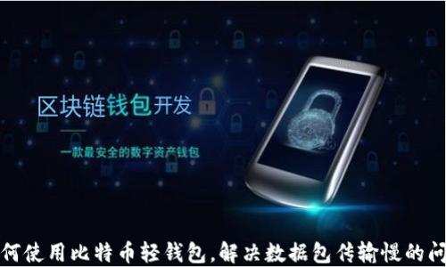 
如何使用比特币轻钱包，解决数据包传输慢的问题