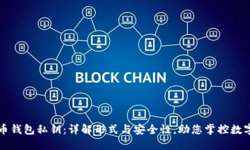 比特币钱包私钥：详解形式与安全性，助您掌控数字资产