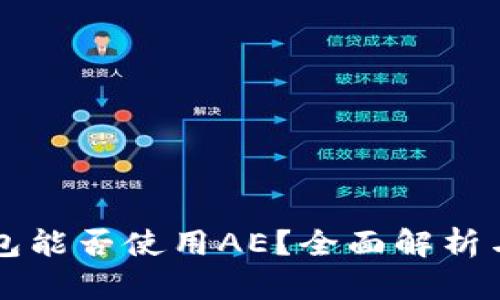 以太坊钱包能否使用AE？全面解析与实用指南