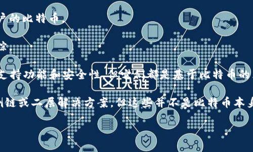 比特币钱包主要支持比特币（BTC）区块链。比特币是全球第一个，也是最为人知的加密货币，它通过区块链技术实现去中心化的转账和交易。

具体来说，使用比特币钱包可以：

1. **存储比特币**：这是比特币钱包最基本的功能，用户可以安全地存放自己的比特币，并随时查看余额。

2. **进行交易**：用户可以通过比特币钱包向其他钱包发送比特币，或接收来自其他用户的比特币。

3. **查看交易记录**：比特币钱包通常会自动记录用户的交易历史，便于用户管理和跟踪。

需要注意的是，不同类型的比特币钱包（如热钱包、冷钱包、硬件钱包等）可能会有不同的支持功能和安全性，但它们都是基于比特币的区块链网络。

除了比特币以外，某些钱包也可能支持其他与比特币有一定协议兼容性的链，例如一些侧链或二层解决方案，但这些并不是比特币本身的链。因此，用户在选择钱包时，一定要确认其用于存储和交易的主要币种及其链类型。 

总的来说，比特币钱包的核心支持就是比特币区块链。