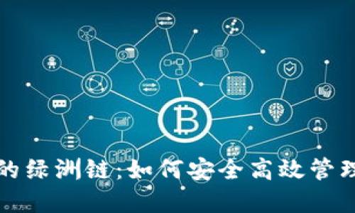 探秘TP钱包上的绿洲链：如何安全高效管理你的数字资产