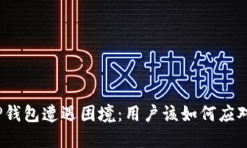 TP钱包遭遇困境：用户该如何应对？