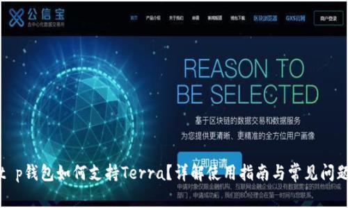 t p钱包如何支持Terra？详解使用指南与常见问题