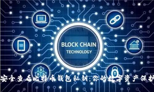 如何安全查看比特币钱包私钥：你的数字资产保护指南