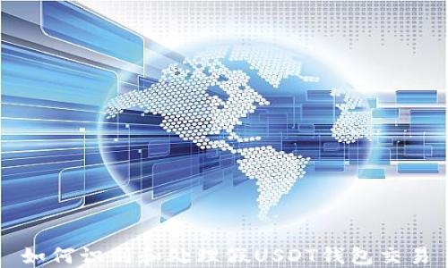 
如何识别和处理假USDT钱包交易