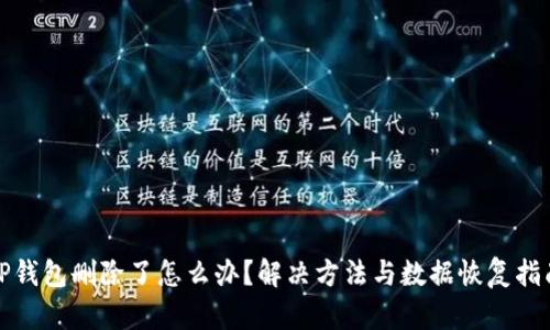 TP钱包删除了怎么办？解决方法与数据恢复指南