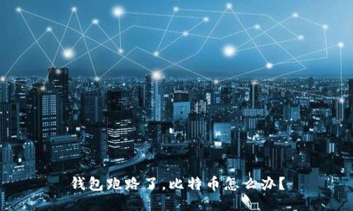 钱包跑路了，比特币怎么办？