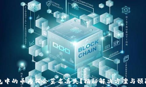    
TP钱包中的币为何会莫名丢失？揭秘解决方案与预防指南