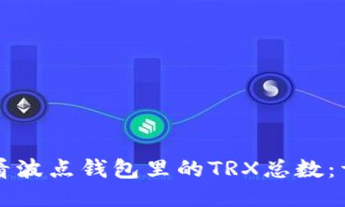 如何查看波点钱包里的TRX总数：详细指南