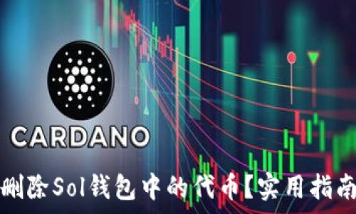   
如何安全地删除Sol钱包中的代币？实用指南与注意事项