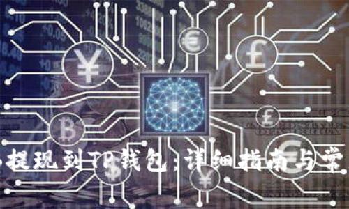 如何将BNB提现到TP钱包：详细指南与常见问题解答