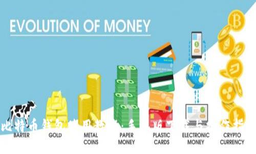 比特币钱包使用教程：手机版下载与操作指南