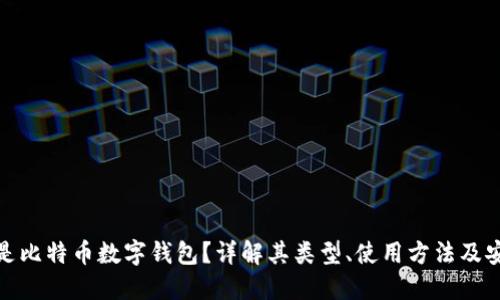 什么是比特币数字钱包？详解其类型、使用方法及安全性