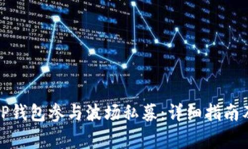 如何使用TP钱包参与波场私募：详细指南及注意事项