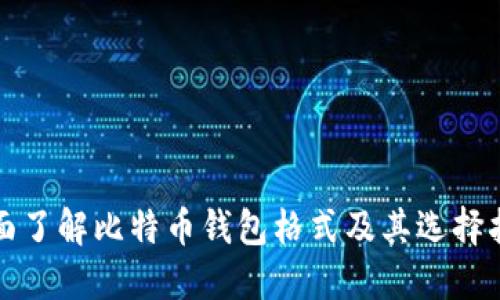 全面了解比特币钱包格式及其选择指南