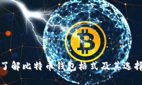 全面了解比特币钱包格式及其选择指南
