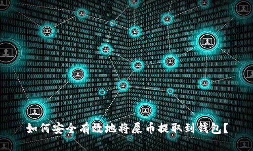 如何安全有效地将屎币提取到钱包?