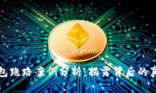 比特币钱包跑路案例分析：揭露背后的真相与教训